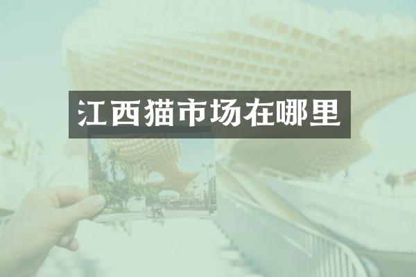 江西猫市场在哪里