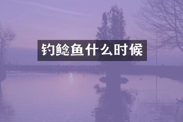 钓鲶鱼什么时候
