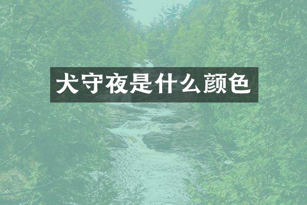 犬守夜是什么颜色