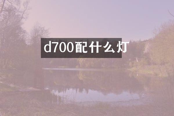 d700配什么灯