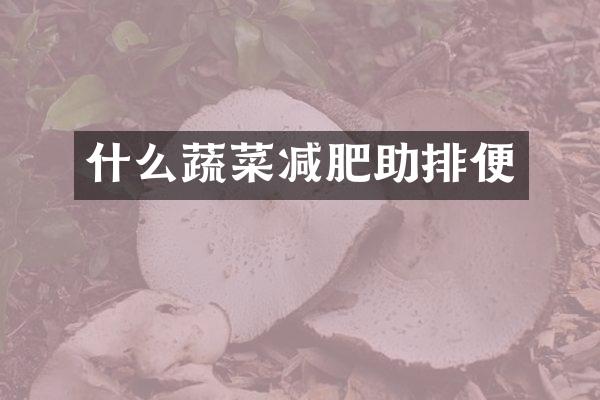 什么蔬菜减肥助排便