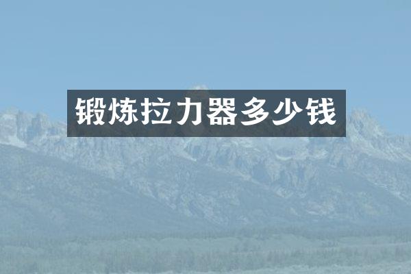 锻炼拉力器多少钱