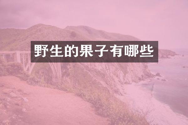 野生的果子有哪些