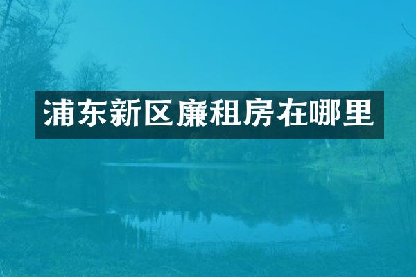 浦东新区廉租房在哪里