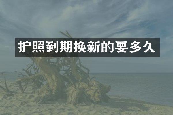 护照到期换新的要多久