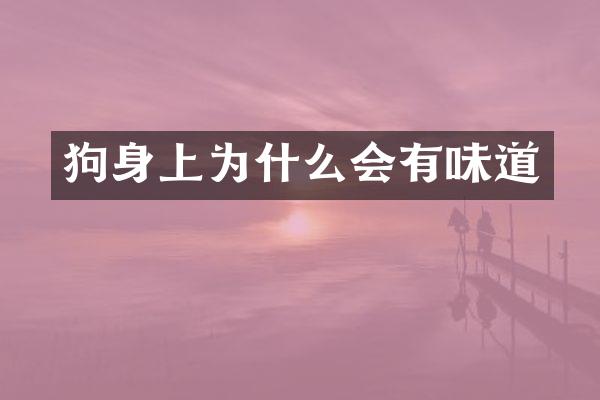 狗身上为什么会有味道