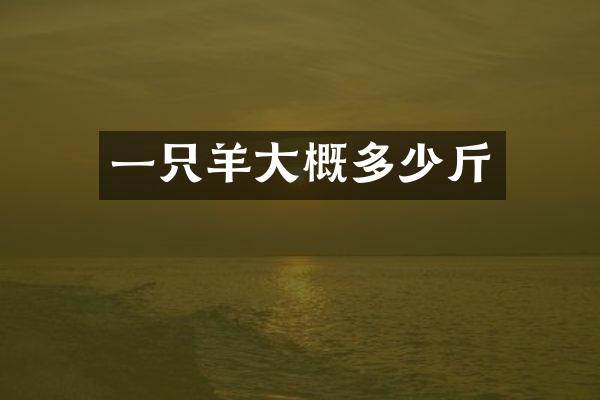 一只羊大概多少斤