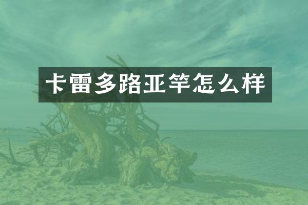 卡雷多路亚竿怎么样