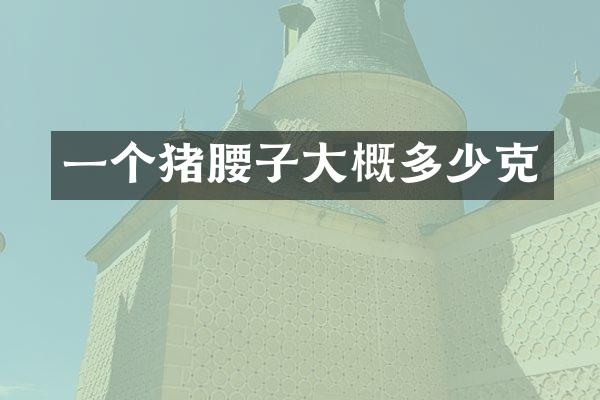 一个猪腰子大概多少克