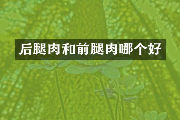 后腿肉和前腿肉哪个好