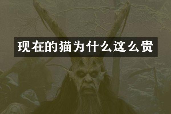 现在的猫为什么这么贵