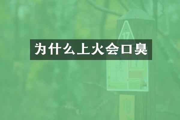 为什么上火会口臭