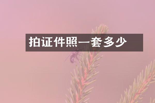 拍证件照一套多少張