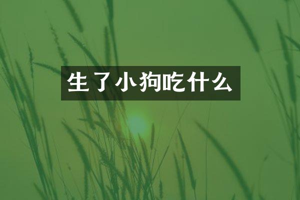 生了小狗吃什么