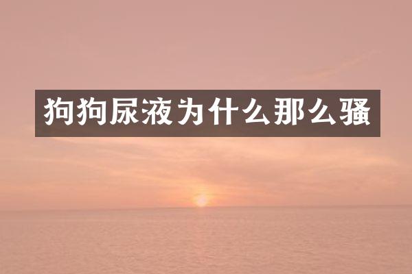 狗狗尿液为什么那么骚