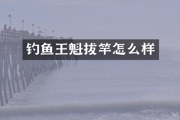 钓鱼王魁拔竿怎么样