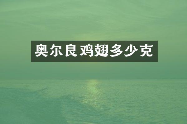 奥尔良鸡翅多少克