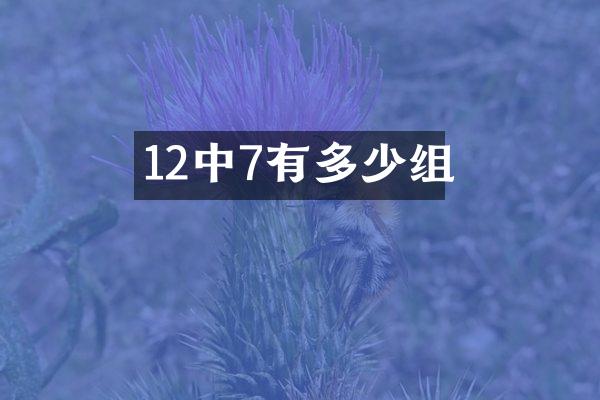 12中7有多少组