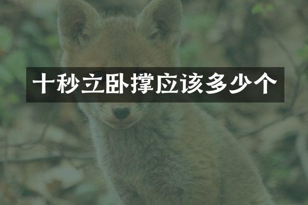 十秒立卧撑应该多少个