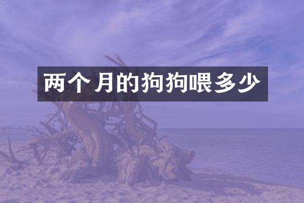 两个月的狗狗喂多少