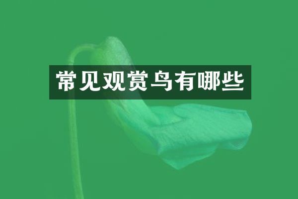 常见观赏鸟有哪些