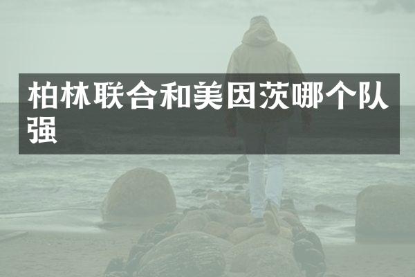 柏林联合和美因茨哪个队强