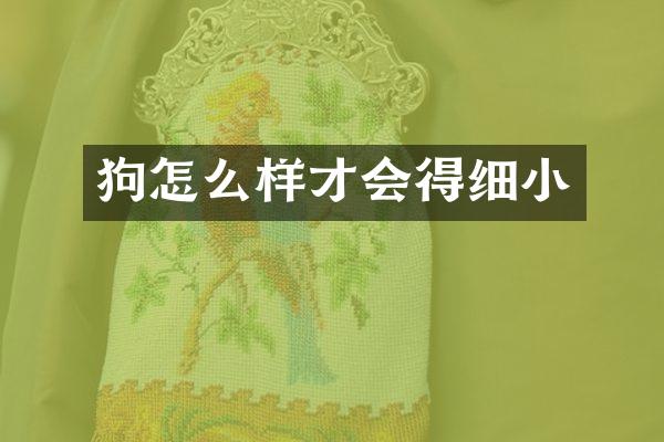 狗怎么样才会得细小