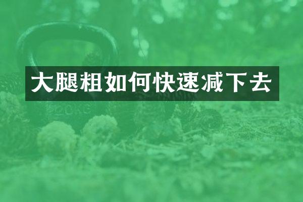 大腿粗如何快速减下去