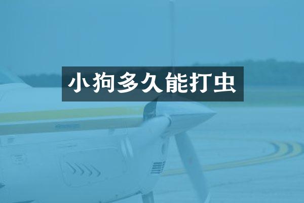 小狗多久能打虫