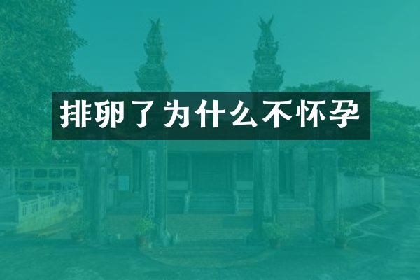 排卵了为什么不怀孕