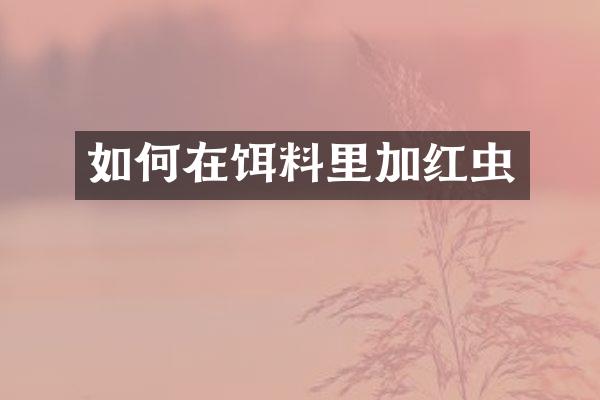 如何在饵料里加红虫