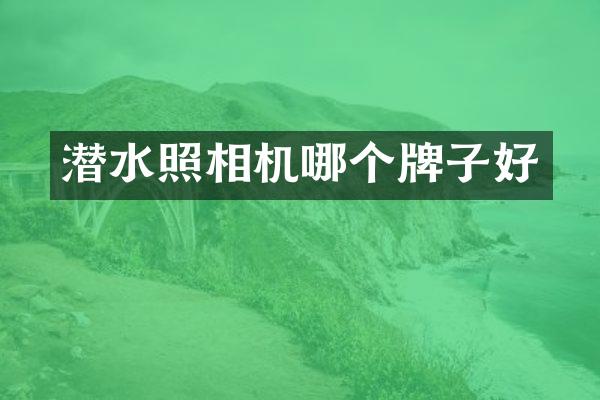 潜水照相机哪个牌子好