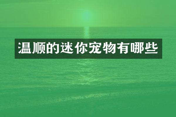 温顺的迷你宠物有哪些