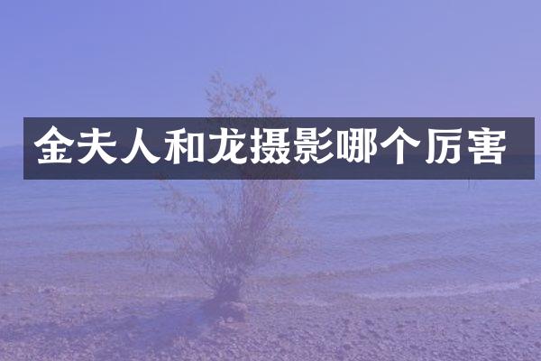金夫人和龙摄影哪个厉害