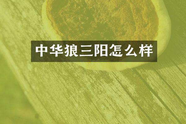 中华狼三阳怎么样