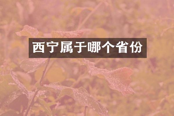 西宁属于哪个省份