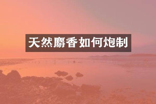 天然麝香如何炮制