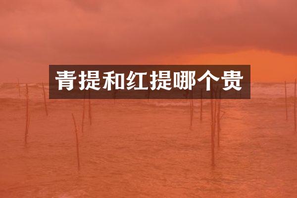 青提和红提哪个贵