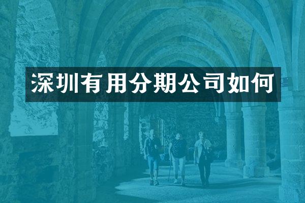深圳有用分期公司如何
