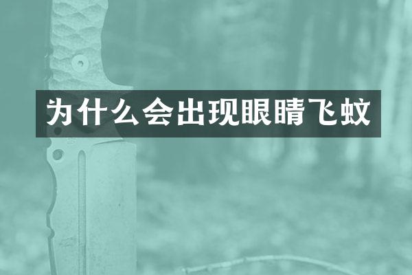 为什么会出现眼睛飞蚊