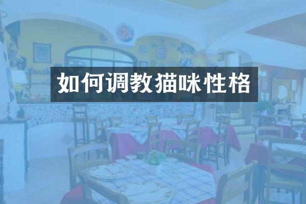 如何猫咪性格