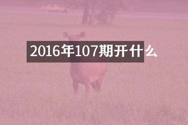 2016年107期开什么