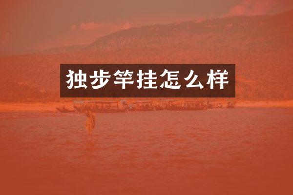 独步竿挂怎么样