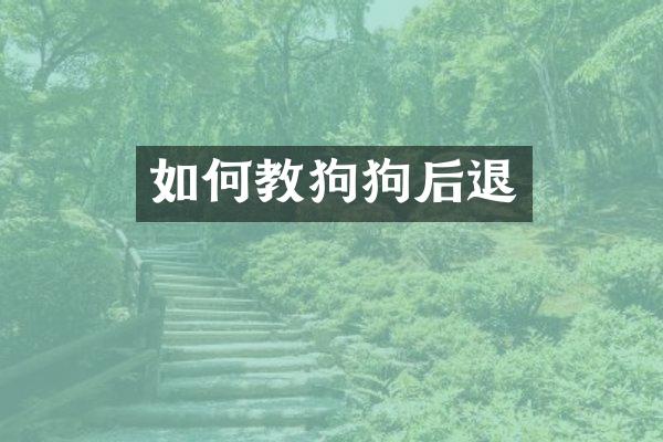 如何教狗狗后退
