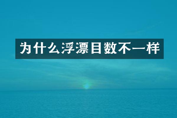 为什么浮漂目数不一样