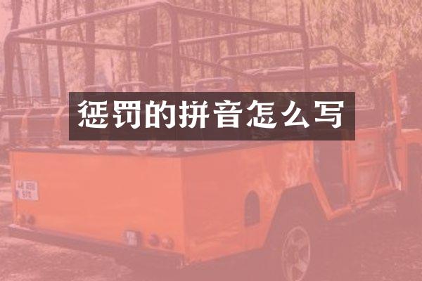 惩罚的拼音怎么写