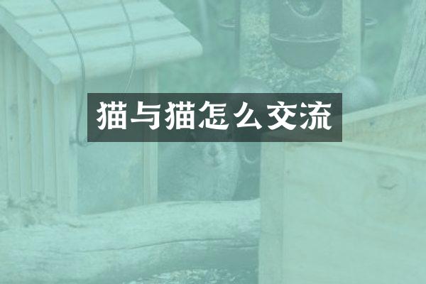 猫与猫怎么交流