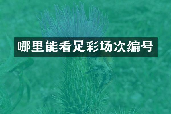 哪里能看场次编号