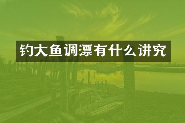 钓大鱼调漂有什么讲究