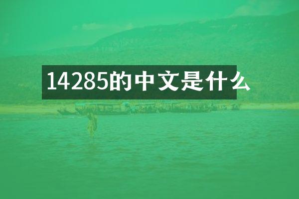 14285的中文是什么